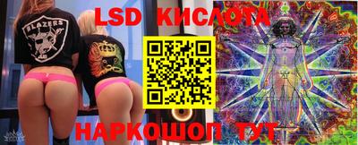МДПВ Кингисепп