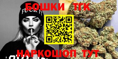 МДПВ Кингисепп