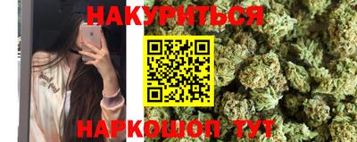 МДПВ Кингисепп
