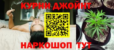 МДПВ Кингисепп