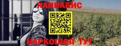 спайс Кинель