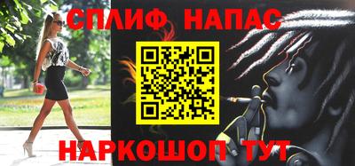 МДПВ Кингисепп
