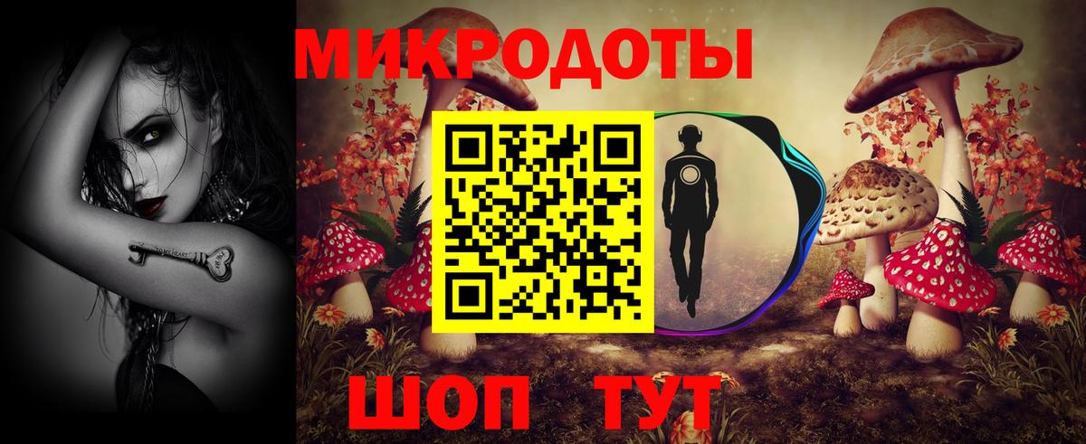 Кингисепп  Псилоцибиновые грибы GOLDEN TEACHER  Галлюциногенные грибы прущие грибы  Вход с VPN 