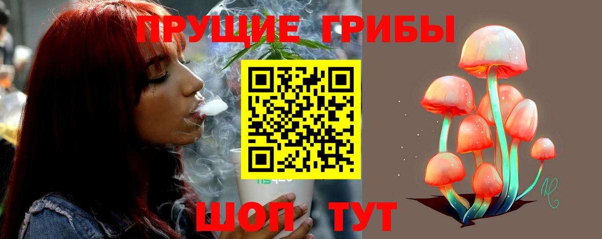 Галлюциногенные грибы MAGIC MUSHROOMS Кингисепп