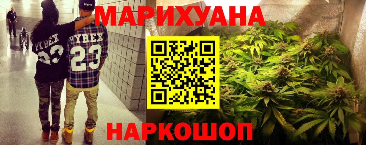 Канабис планчик Кингисепп